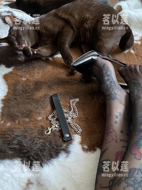 微密圈 - 短裤时光，卡通百科老王网络精灵，下载网盘里的每一个令人心动瞬间！