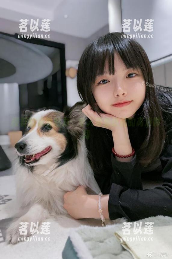 樱群 樱群的泳池魅力:令人浮想联翩的高清瞬间