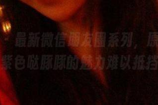 微密圈 – 最新微信朋友圈系列，原图直击！紫色哒豚豚的魅力难以抵挡！